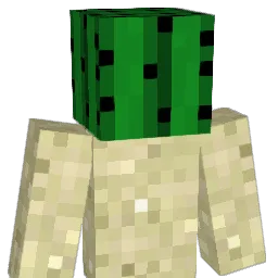 Caelixian Minecraft avatar bust