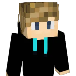 CamSails Minecraft avatar bust