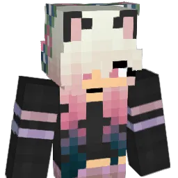 CamelChaser's Minecraft skin