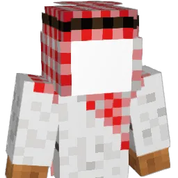 CameraManCR Minecraft avatar bust