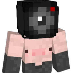 Camera_P1g's Minecraft skin