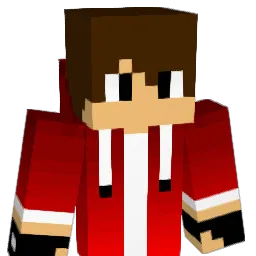 CameronS312 Minecraft avatar bust