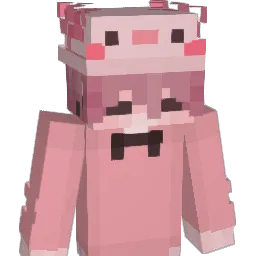 Camietooties Minecraft avatar bust