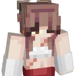 Camiion_
