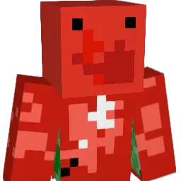 Cammmmmm Minecraft avatar bust