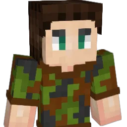 CamoBro73 Minecraft avatar bust