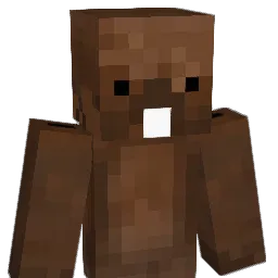 Camster53 Minecraft avatar bust