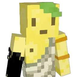 Camstruction