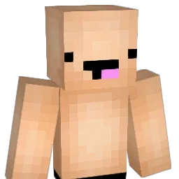 Cannner Minecraft avatar bust