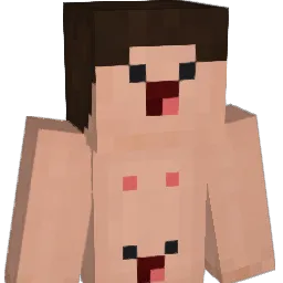Cansasboy Minecraft avatar bust
