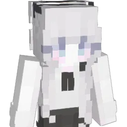 Cansol_ Minecraft avatar bust