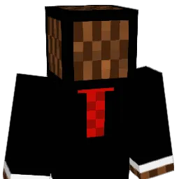Canudu Minecraft avatar bust