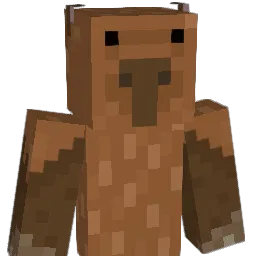 Capy