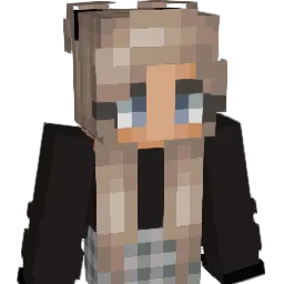 Care504 Minecraft avatar bust