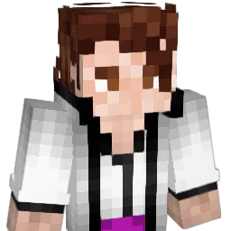 CareerCastle317 Minecraft avatar bust