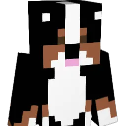 Carrotyy_ Minecraft avatar bust