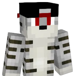 CarryAssKing's Minecraft skin