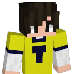 Casarinn Minecraft avatar bust