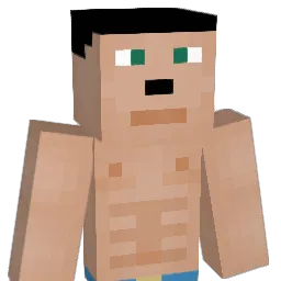 Casavea Minecraft avatar bust