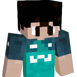 Case24_ Minecraft avatar bust