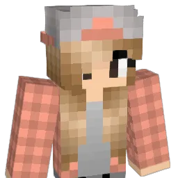 Cass1DNialler Minecraft avatar bust