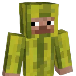 Cassidy_2003 Minecraft avatar bust