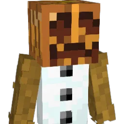 Cast_perr Minecraft avatar bust
