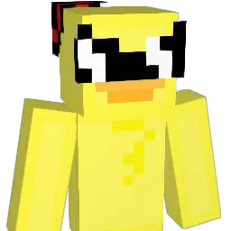 CastleQuackz Minecraft avatar bust