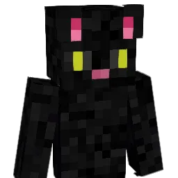 CatEnjoyer's Minecraft skin