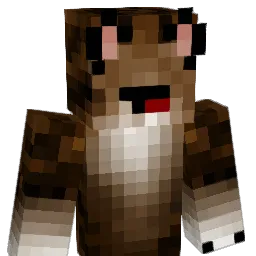 CatTamer1127 Minecraft avatar bust