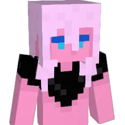 Catail1130 Minecraft avatar bust