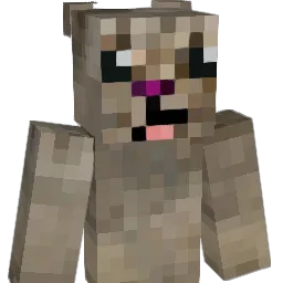 Catplexy