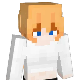 CcNaer Minecraft avatar bust