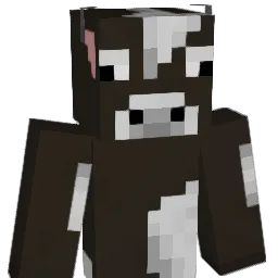 CdXG_ Minecraft avatar bust