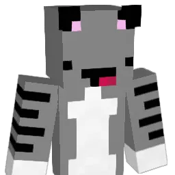 Cedomirek Minecraft avatar bust