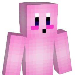 Ceed Minecraft avatar bust