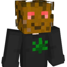 CeifeiroYT Minecraft avatar bust