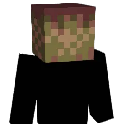 CeilingBird Minecraft avatar bust