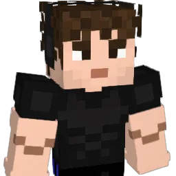 CellinSP Minecraft avatar bust