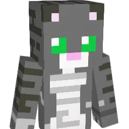 Cenn73's Minecraft skin