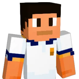 CesEmigd31 Minecraft avatar bust