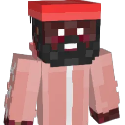 Chan_sol Minecraft avatar bust
