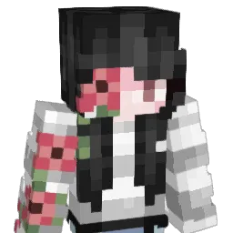 Chance_Is_Taken Minecraft avatar bust