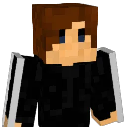 ChangeSide Minecraft avatar bust