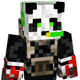 CharCharBBR Minecraft avatar bust