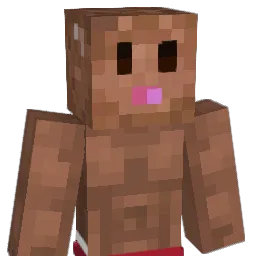 CharlieBee23's Minecraft skin