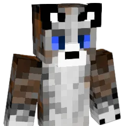 ChasePlayz_2005 Minecraft avatar bust