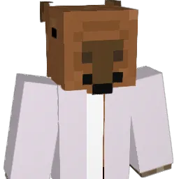 ChasePlayzzYT Minecraft avatar bust