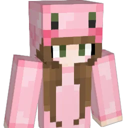 Cheesygamer255 Minecraft avatar bust