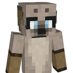 CheetahCode Minecraft avatar bust